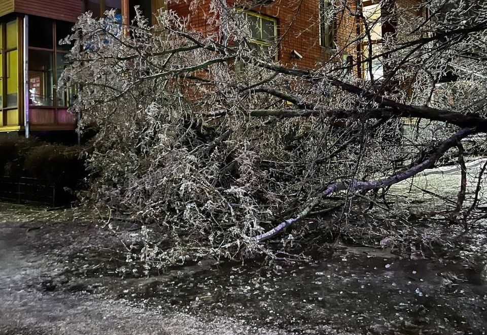 В Ростовской обл. после ледяного дождя перебои с эл.энергией. Возможны задержки доставок