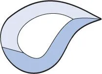 Бевелс AV76.3 дизайнерский