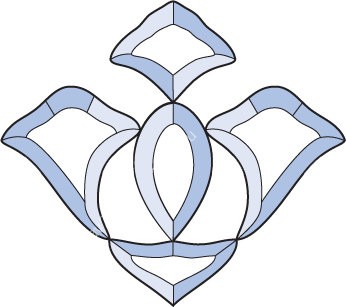 Бевелс AV80 фрамужный (5 элементов) 202 х 179 мм