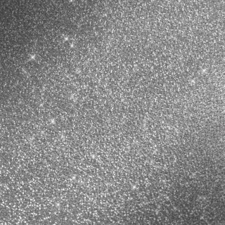 Премикс эффекта GlassPaint Глиттеры Серебряные база (Glitter Silver base), 1 л