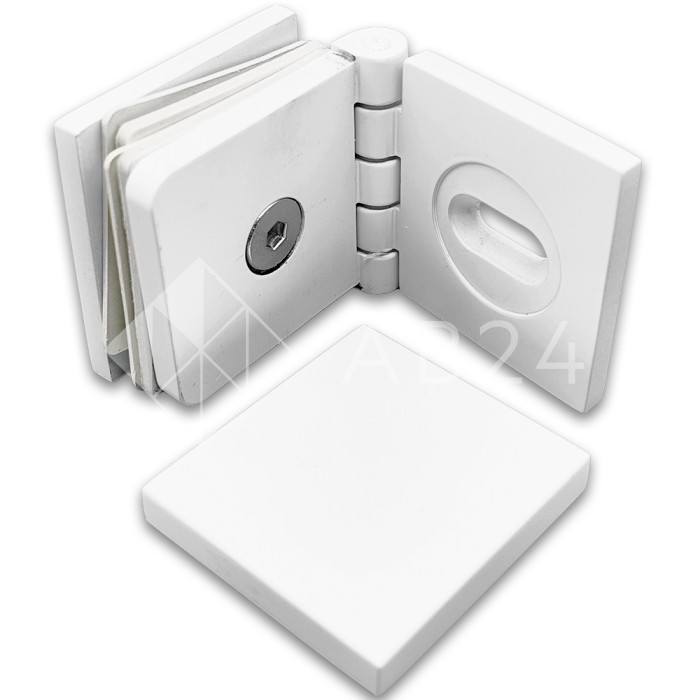 Коннектор для стекла Пегас FDK-100, 45х45 мм стена-стекло 0°-180°, латунь/белый