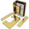 Петля Афина FDP-131 стена-стекло центр. крепление, латунь/брашированное золото
