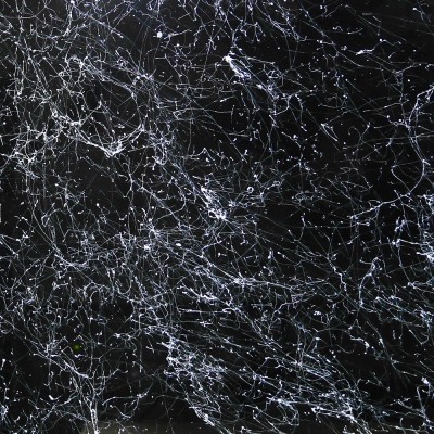 Эффект GlassPaint Паутина (Web Effect) белая, 250 мл