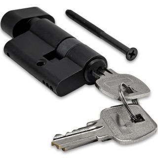 Личинка FMZA-36 для замка стеклянной двери FMZ-36, ключ/вертушка, латунь/черный