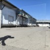 Стекло витражное AV 100Seedy пол-листа (50 х 75 см)