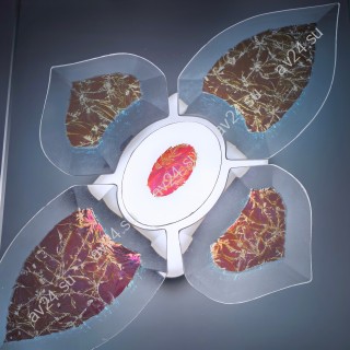 Бевелс AV42 дихроичный (5 элементов) 160 х 260 мм красный мороз