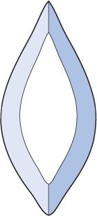Бевелс AV132 дизайнерский 40 х 90 мм