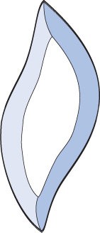 Бевелс AV133 дизайнерский 43 х 100 мм