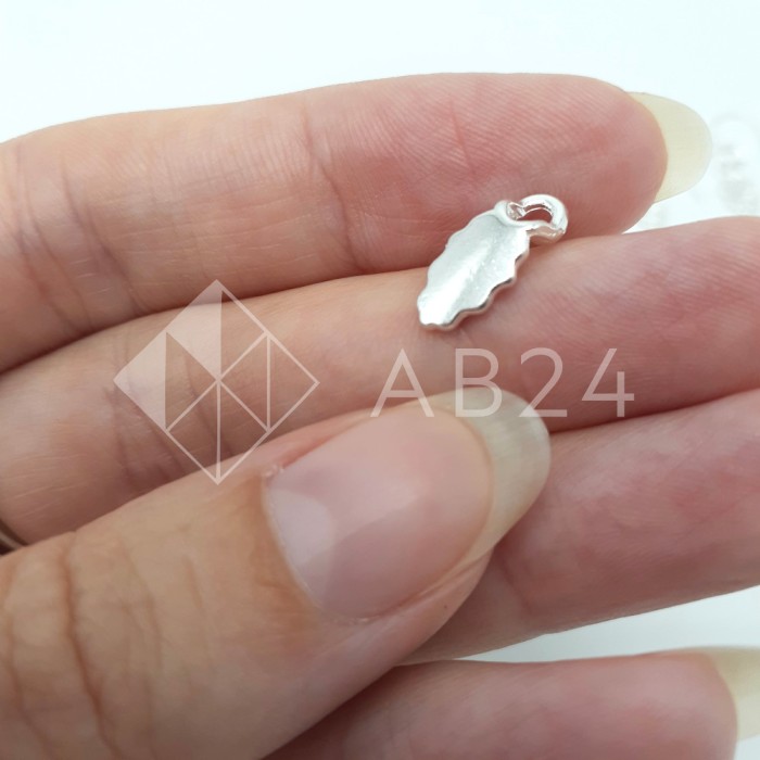 Набор для бижутерии для 5 пар сережек (швензы)