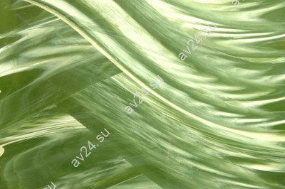 Витражная пленка Decra Led SR2154 (SF 154)