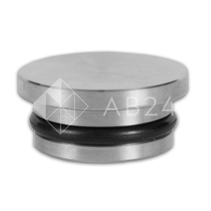 Заглушки FDS-76 для трубы 25 мм, нержавейка/матовый