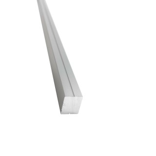 Профиль FDPA-58.25 для крепления уплотнителя к стене, 2,5 м, алюминий/анодированный