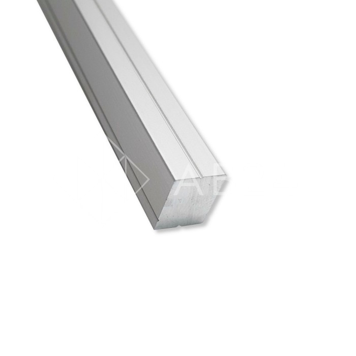 Профиль FDPA-58.25 для крепления уплотнителя к стене, 2,5 м, алюминий/анодированный